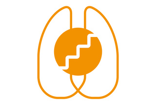 Lung recruitment flow anesthesia