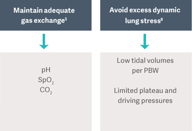 Flowchart on gas exchange: Maintain adequate gas exchange, avoid excess dynamic lung stress. Includes pH, SpO2, CO2.